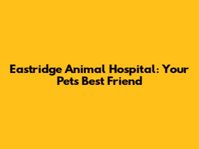 Eastridge Animal Hospital: Your Pet's Best Friend