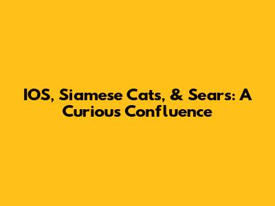 IOS, Siamese Cats, & Sears: A Curious Confluence
