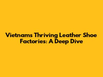 Vietnam's Thriving Leather Shoe Factories: A Deep Dive